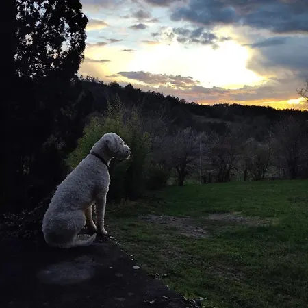 Дом отдыха Dolina *