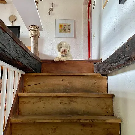 Dolina Vakantiehuis